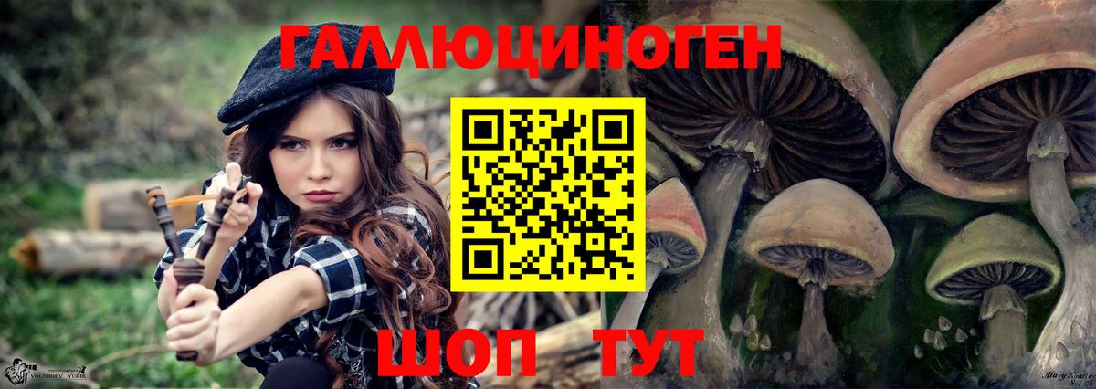 Псилоцибиновые грибы Psilocybine cubensis  Вход с VPN  Галлюциногенные грибы Psilocybine cubensis  Мелеуз 