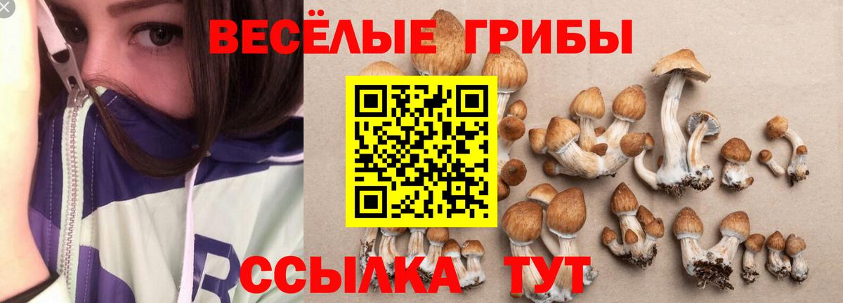Галлюциногенные грибы MAGIC MUSHROOMS Мелеуз
